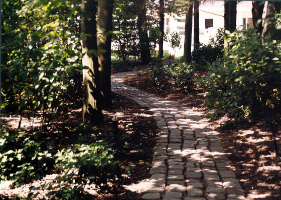 photo2