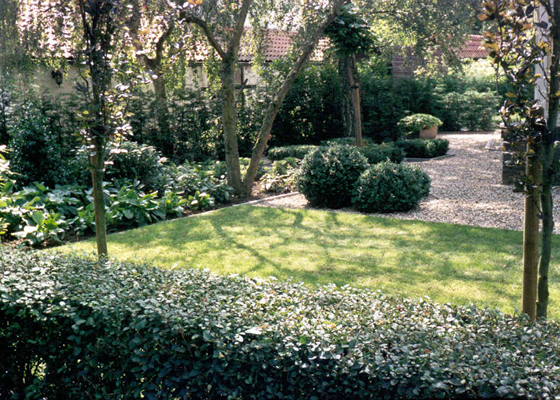 photo3